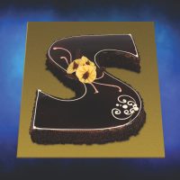 3D-&-Special-Occasions-Cakes#113
