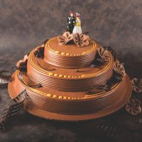 3D-&-Special-Occasions-Cakes#15